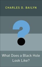 What Does a Black Hole Look Like?