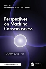 Perspectives on Machine Consciousness
