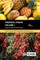 Tropical Fruits
