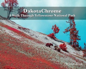 DakotaChrome