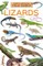 Lizards