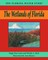 The Wetlands of Florida