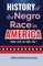 History of the Negro Race in America from 1619 to 1880. Vol 1