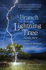 A Branch from the Lightning Tree