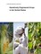 Genetically Engineered Crops in the United States