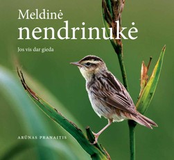 Meldinė nendrinukė. Jos vis dar gieda