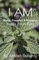 I AM Wealth, Prosperity & Abundance Positive Affirmations
