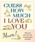 Guess How Much I Love You, Mum!