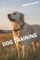Dog Training