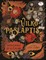 Vilko paslaptis (knyga su defektais)