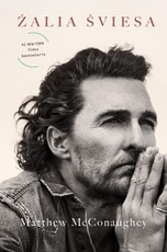 Žalia šviesa (knyga su defektais)