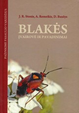 Blakės: įvairovė ir pavadinimai