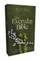 Kjv, the Everyday Bible, Paperback, Red Letter, Comfort Print