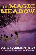 The Magic Meadow