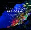 The Mystery of Red Coral