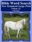 Bible Word Search New Testament Large Print Volume 42