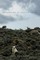 Shepherds of Coyote Rocks: Public Lands, Private Herds and the Natural World