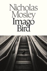 Imago Bird