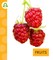 Fruits