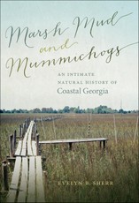 Marsh Mud and Mummichogs