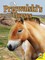 Przewalski's Horses