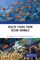 Health Foods from Ocean Animals