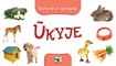Ūkyje. Vartome ir deriname