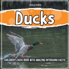 Ducks