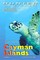 Cayman Islands Adventure Guide