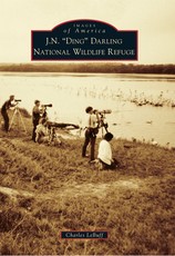 J. N. Ding Darling National Wildlife Refuge