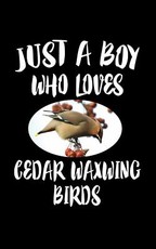 Just A Boy Who Loves Cedar Waxwing