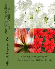 Amaryllis, Paperwhites and Poinsettias
