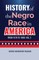History of the Negro Race in America from 1619 to 1880. Vol 2