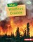 When Wildfires Crackle