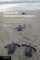 Towards the Environmental Minimum