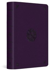 ESV Large Print Bible