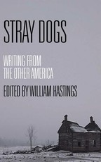 Stray Dogs