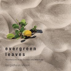 Menon, G: Evergreen Leaves