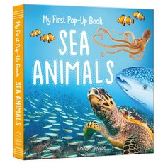 My First Pop-Up Book: Sea Animals
