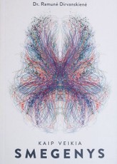 Kaip veikia smegenys