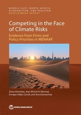 Competing in the Face of Climate Risks