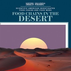 Food Chains in the Desert