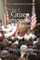 The State of Citizen Participation in America