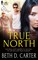 True North