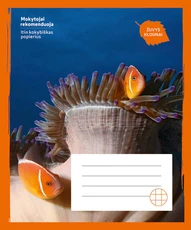 Sąsiuvinis „Žuvys klounai“, 36 lapai, langeliais