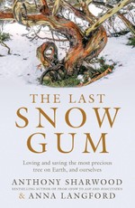 The Last Snow Gum