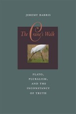 Crane's Walk
