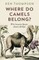 Where Do Camels Belong?