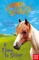 A Pony Called Secret: A Time To Shine