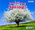 What Can You See in Spring?